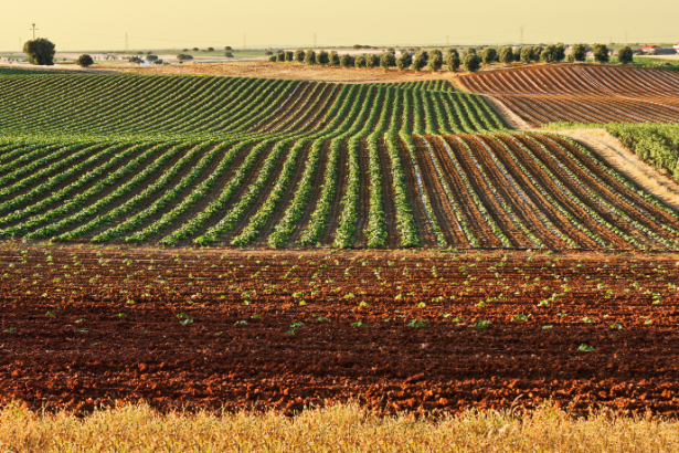 Impactos e Desafios da Aviação Agrícola no Interior de Minas Gerais