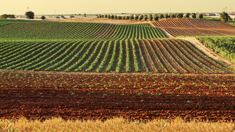Impactos e Desafios da Aviação Agrícola no Interior de Minas Gerais