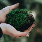 Como Minas Gerais Está Reforçando uma Nova Agenda Ambiental para 2026 com Tecnologia, Inovação e Inclusão