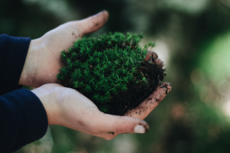 Como Minas Gerais Está Reforçando uma Nova Agenda Ambiental para 2026 com Tecnologia, Inovação e Inclusão