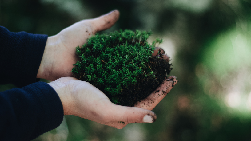 Como Minas Gerais Está Reforçando uma Nova Agenda Ambiental para 2026 com Tecnologia, Inovação e Inclusão