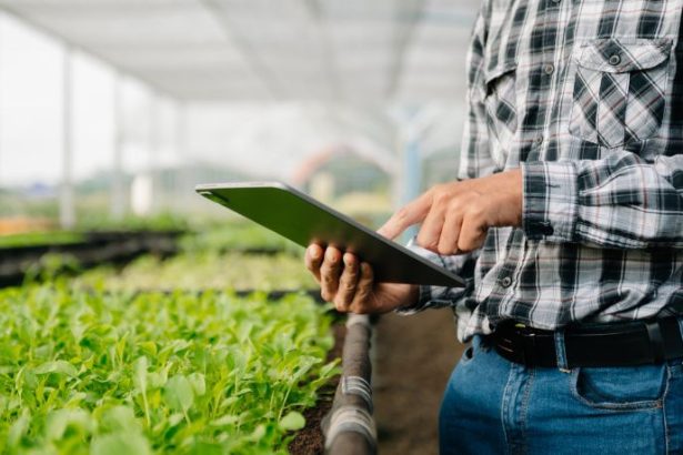 Feira escolar une agronegócio e tecnologia e transforma aprendizado em experiência prática