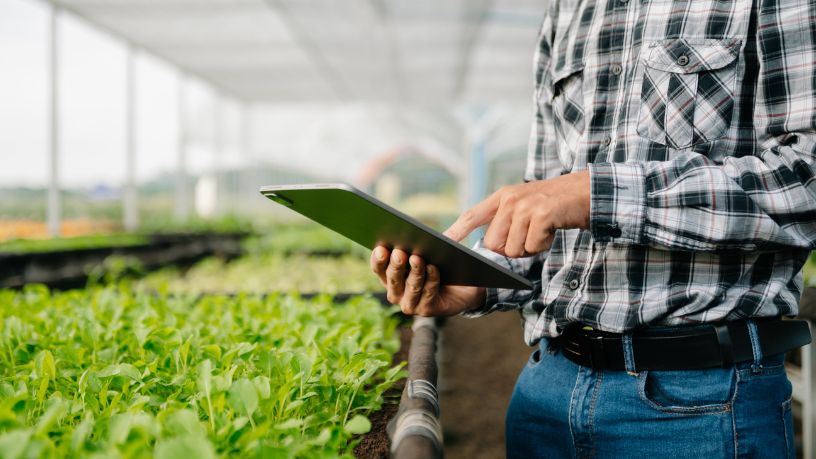 Feira escolar une agronegócio e tecnologia e transforma aprendizado em experiência prática