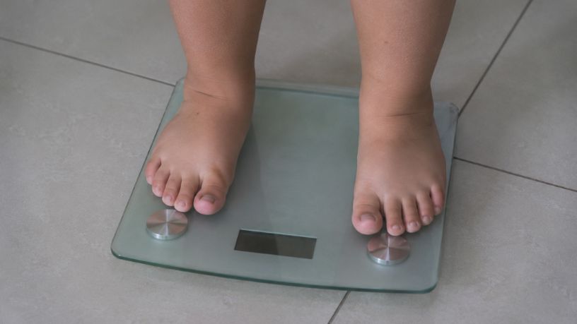 Os impactos da obesidade infantil em Minas Gerais e os caminhos para a conscientização em saúde pública